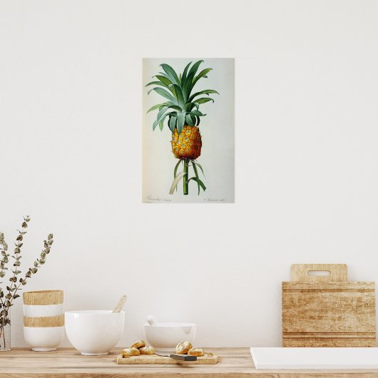 Bromelia Ananas von "Les Bromeliacees" Poster (Küche)
