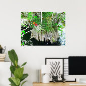 Bromeliad auf Mangrove, Florida Everglades Poster (Heimbüro)