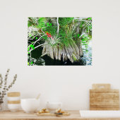 Bromeliad auf Mangrove, Florida Everglades Poster (Küche)