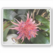 Bromeliad-Blume Aufkleber (Vorderseite)