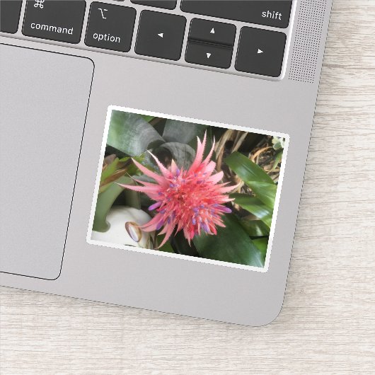 Bromeliad-Blume Aufkleber (Detail)