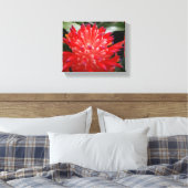 Bromeliad-Blume Leinwanddruck (Insitu (Schlafzimmer))