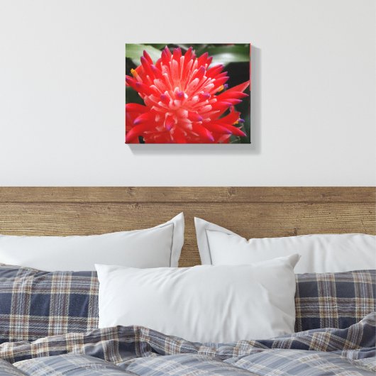 Bromeliad-Blume Leinwanddruck (Insitu (Schlafzimmer))