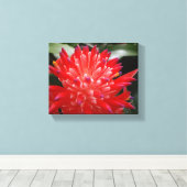 Bromeliad-Blume Leinwanddruck (Insitu (Holzboden))