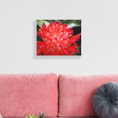 Bromeliad-Blume Leinwanddruck (Insitu (Wohnzimmer))