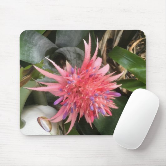 Bromeliad-Blume Mousepad (Mit Mouse)