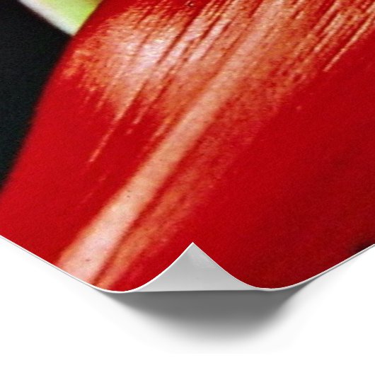 Bromeliad-Blume Poster (Ecke)