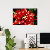 Bromeliad-Blume Poster (Heimbüro)