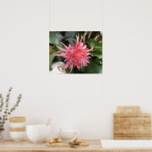 Bromeliad-Blume Poster (Küche)
