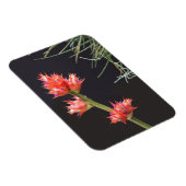 Bromeliad Blume und Stem Magnet (Rechte Seite)