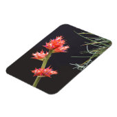 Bromeliad Blume und Stem Magnet (Linke Seite)