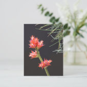 Bromeliad Blume und Stem Postkarte (Stehend Vorderseite)