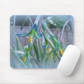 Bromeliad Blüten Mousepad (Mit Mouse)