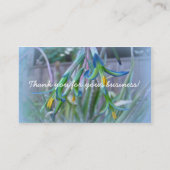 Bromeliad Blüten Visitenkarte (Rückseite)