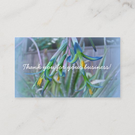 Bromeliad Blüten Visitenkarte (Rückseite)