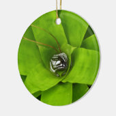 Bromeliad Green Botanical Fotografie Keramik Ornament (Links)