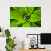 Bromeliad Green Botanical Fotografie Poster (Heimbüro)