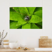 Bromeliad Green Botanical Fotografie Poster (Küche)