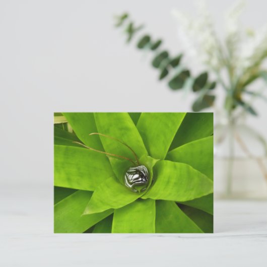 Bromeliad Green Botanical Fotografie Postkarte (Stehend Vorderseite)