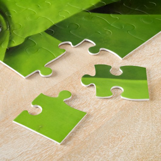 Bromeliad Green Botanical Fotografie Puzzle (Seite)