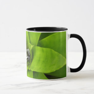 Bromeliad Green Botanical Fotografie Tasse