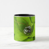 Bromeliad Green Botanical Fotografie Tasse (Zentrum)