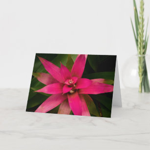 Bromeliad in Bloom Dankeskarte