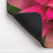 Bromeliad in Bloom Mousepad (Ecke)