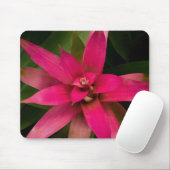 Bromeliad in Bloom Mousepad (Mit Mouse)