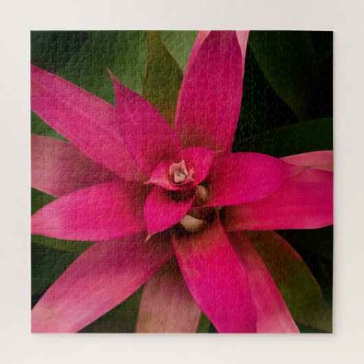 Bromeliad in Bloom Puzzle (Vertikal)