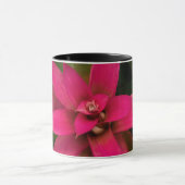 Bromeliad in Bloom Tasse (Zentrum)