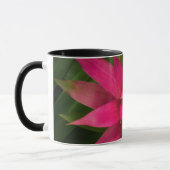 Bromeliad in Bloom Tasse (Links)