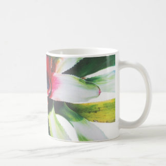 Bromeliad Kaffeetasse