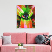 Bromeliad Leinwanddruck (Insitu (Wohnzimmer))