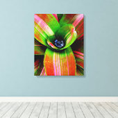 Bromeliad Leinwanddruck (Insitu (Holzboden))