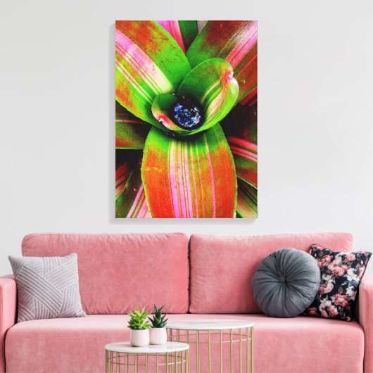 Bromeliad Leinwanddruck (Insitu (Wohnzimmer))