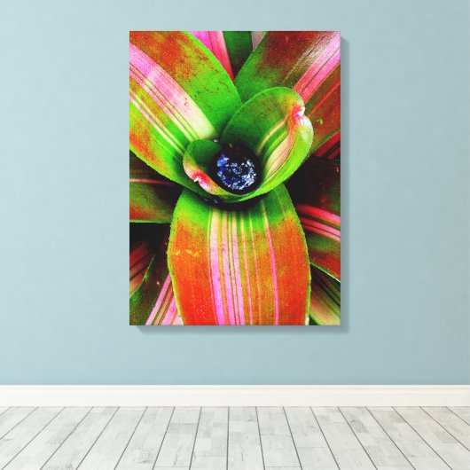 Bromeliad Leinwanddruck (Insitu (Holzboden))