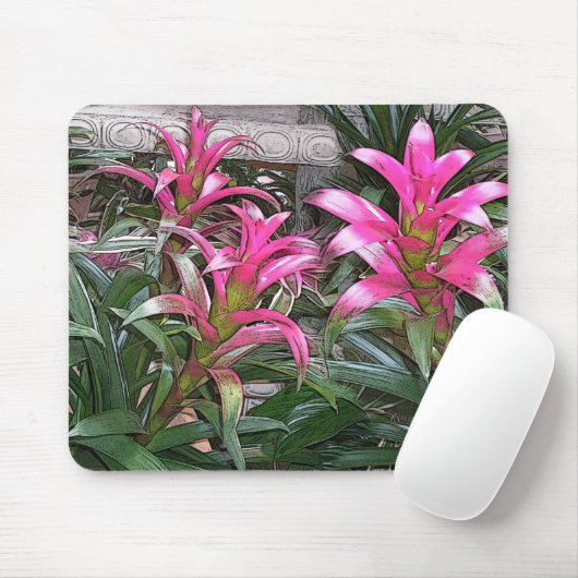 Bromeliad Mouspad Mousepad (Mit Mouse)