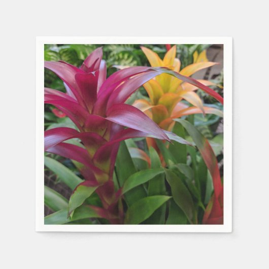 Bromeliad Paper Napkin Serviette (Vorderseite)