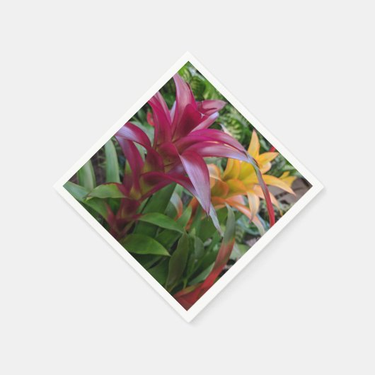 Bromeliad Paper Napkin Serviette (Ecke)