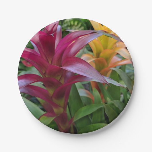 Bromeliad Paper Plate Pappteller (Vorderseite)