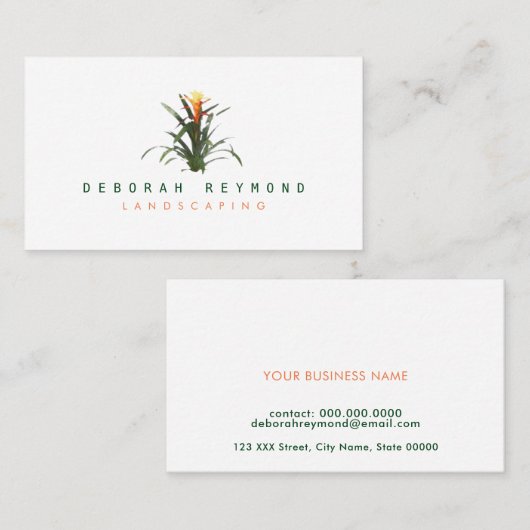 Bromeliad Pflanze . Visitenkarte (Vorne/Hinten)