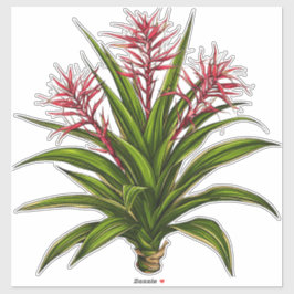 Bromeliad Plant With Red Flowering Spikes Aufkleber