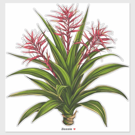 Bromeliad Plant With Red Flowering Spikes Aufkleber (Blatt)
