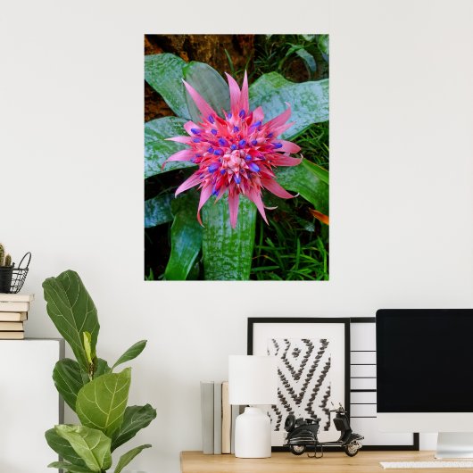 Bromeliad Poster (Heimbüro)