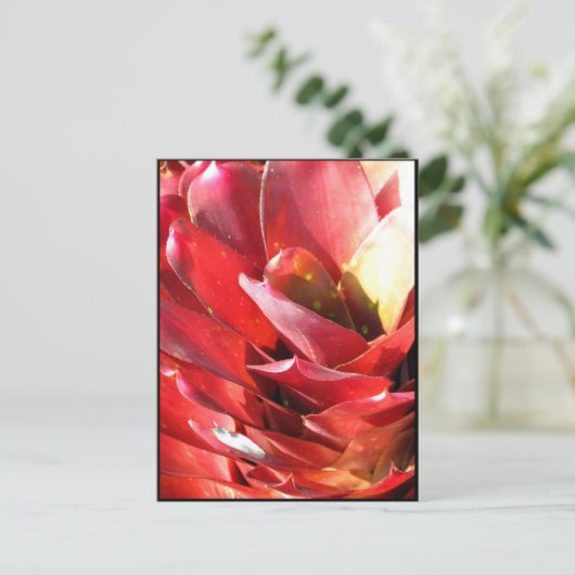Bromeliad Postkarte (Stehend Vorderseite)