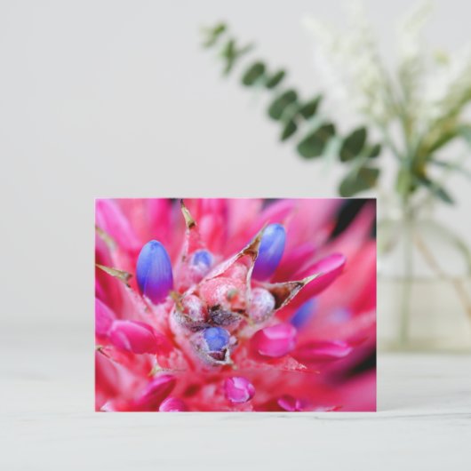 Bromeliad Postkarte (Stehend Vorderseite)