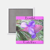 Bromeliads in Costa Rica Magnet (Vorderseite/Rückseite)
