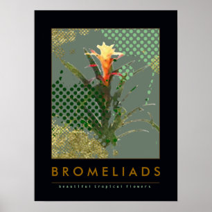 Bromeliads Kunstdekoration Poster