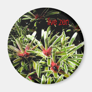 Bromeliden leben Zen-Magnet Magnet